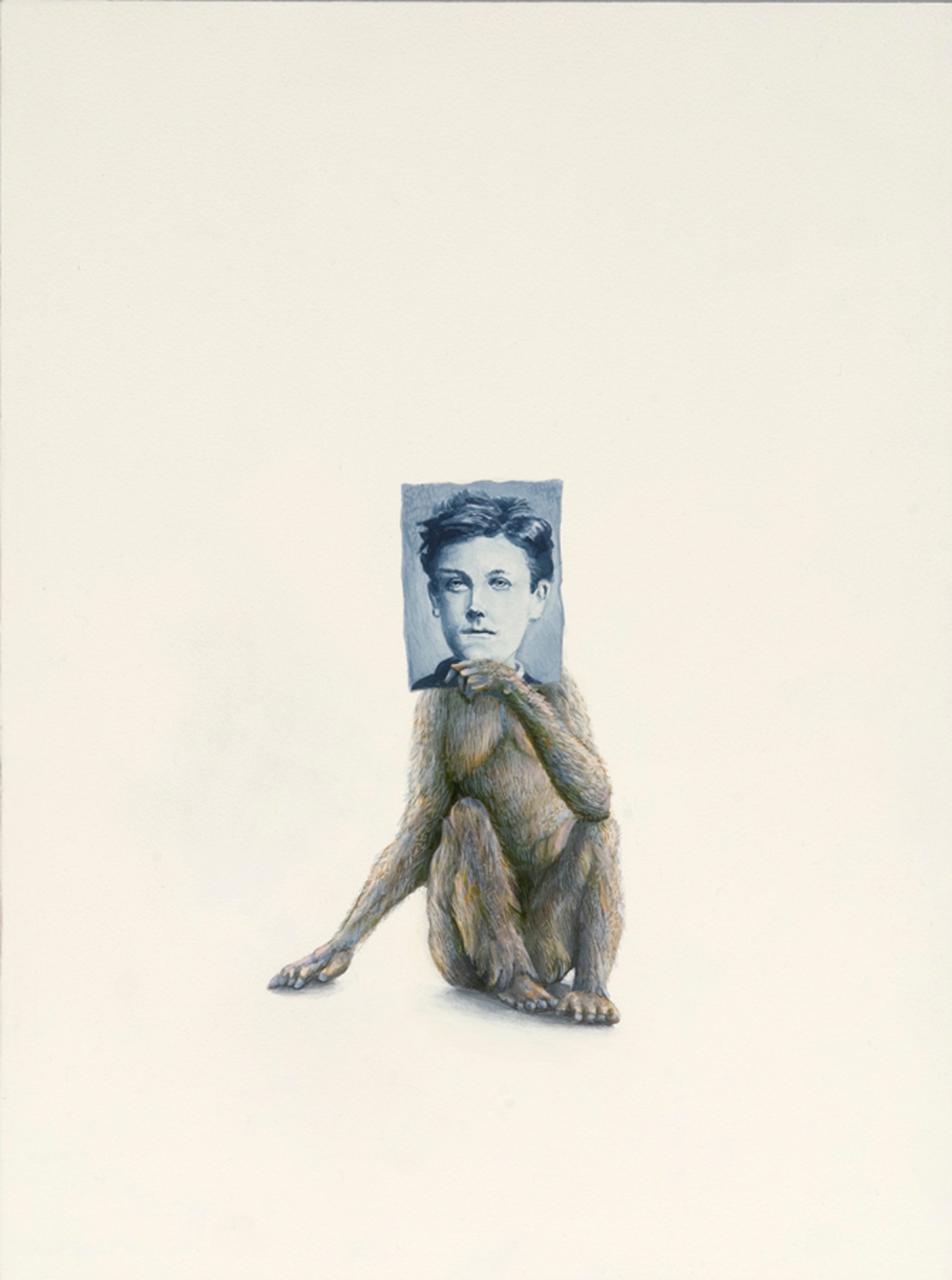 Monkey (Rimbaud), 2009