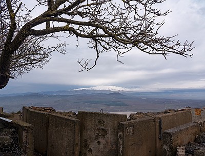 Mount Hermon Syria # 6133, 2020
