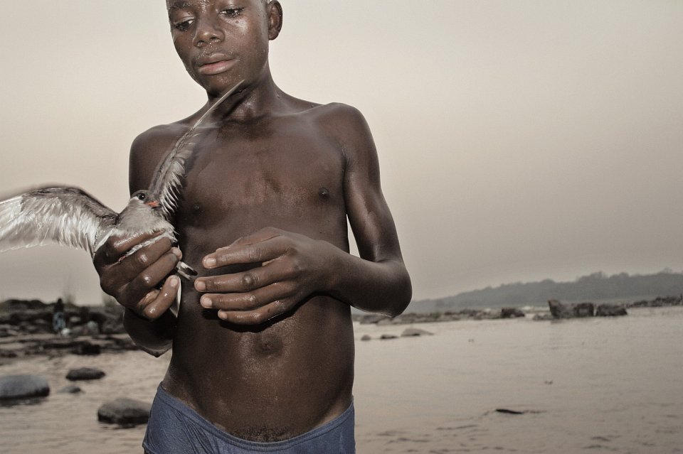 Young swimmer and a captured bird on the Congo River, Kinshasa, 2003
