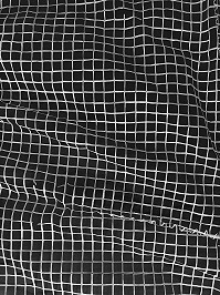 Fiene Scharp "dissolving grids", 20.6. –26.7.2025