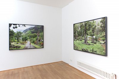 Second Nature, installation view, Kuckei + Kuckei, 2012