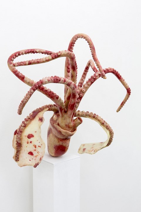 <p><em>Pour la Soupe – Fische & Cephalopoden</em>, installation view, Kuckei + Kuckei, 2014</p>